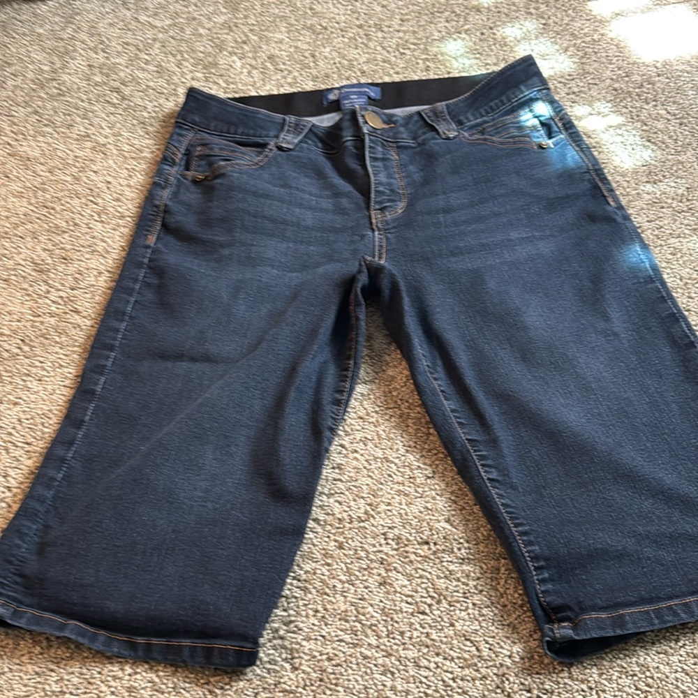 Democracy Absolution® Bermuda Short Indigo
